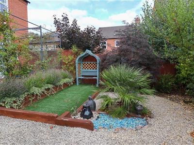 Picture 20